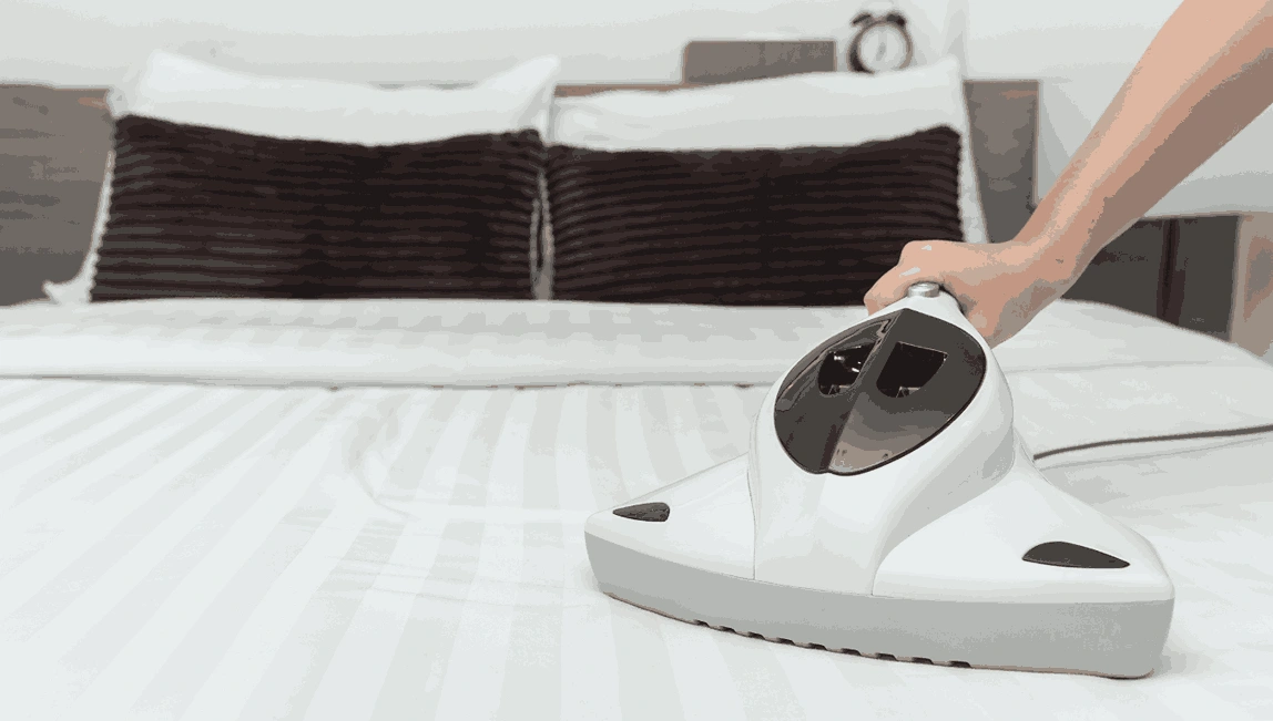 Professional Mattress Cleaning Main Ridge